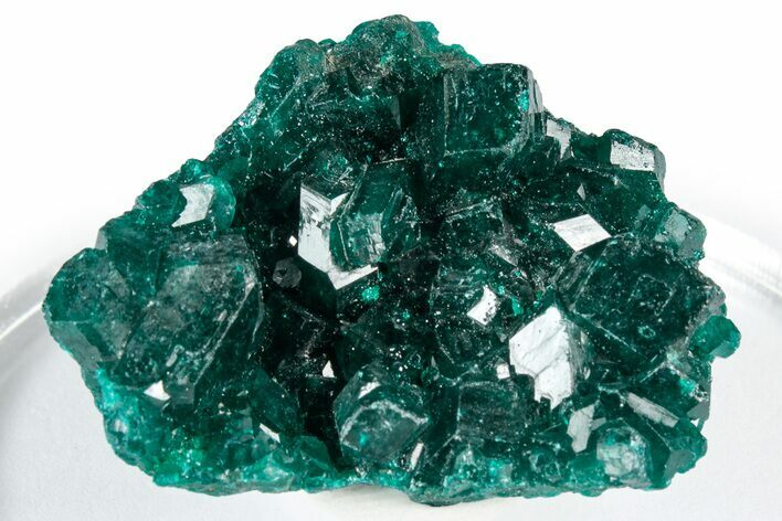 Sparkly Emerald-Green Dioptase Crystal Cluster - Congo #347859